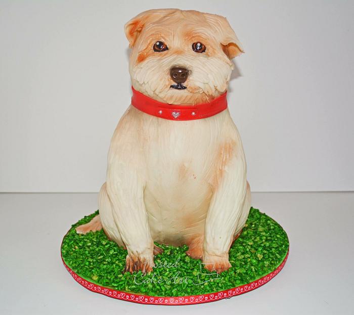 3D sculpted dog cake!