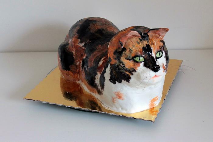 3D cat cake