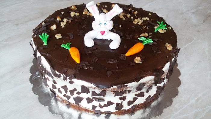 Rabbit on the carrot cake