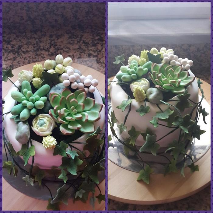 succulents cake