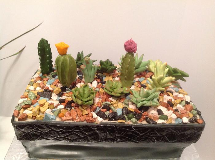 Cactus Garden Cake