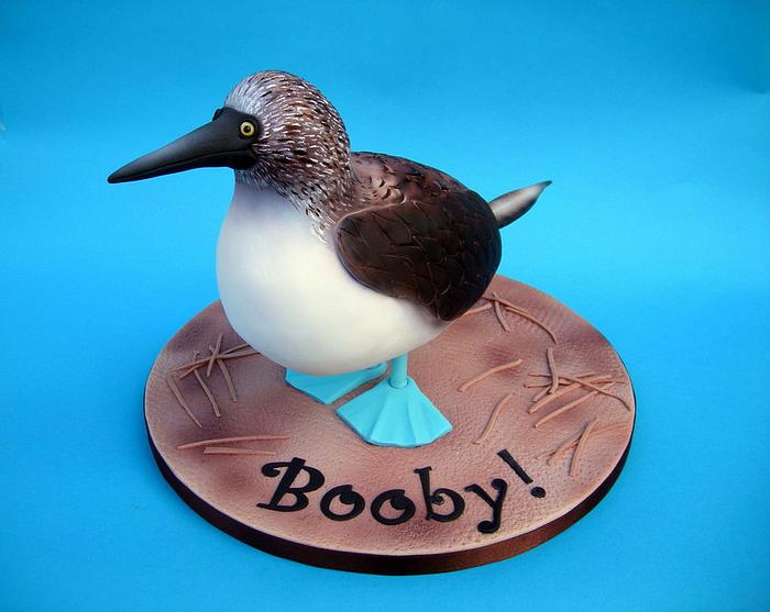 The Booby!