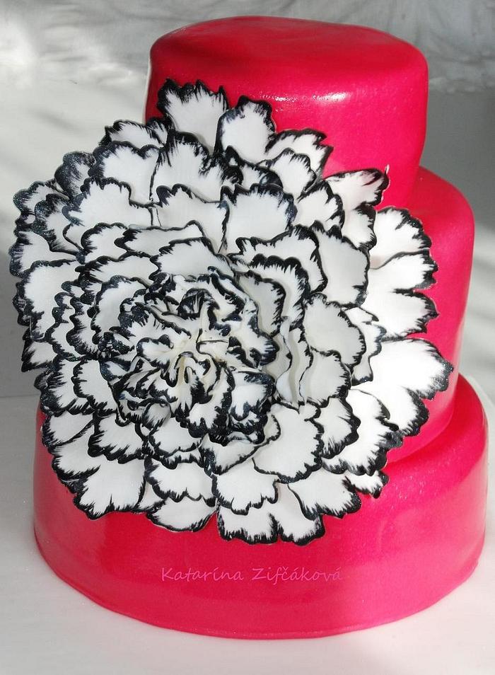 elegant cake  pink white black