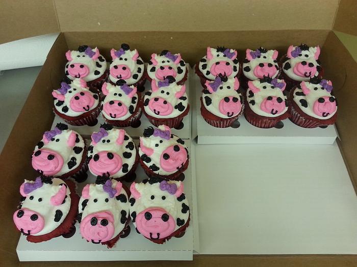 Cow face cupcakes
