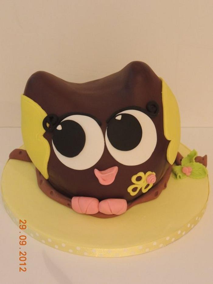 Owl cake (made at Michelle Rea class!)