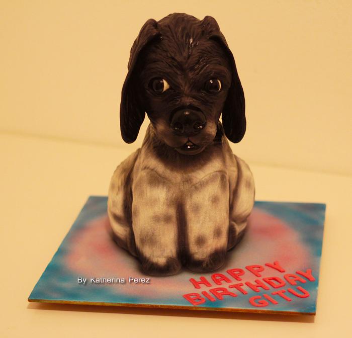 Timo - the black face dog cake