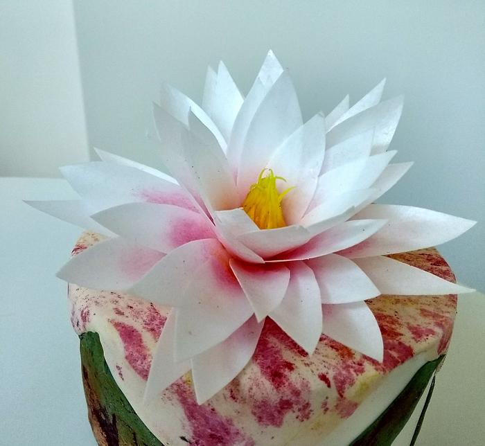 Lotus flower cake