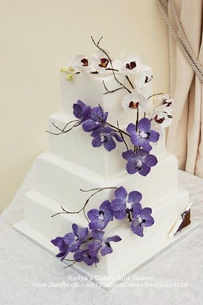 Cadbury cake with vanda and moth orchids