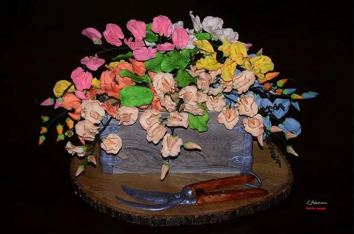 Sweet pea garden cake