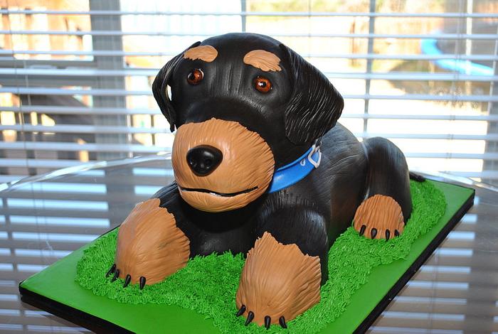 Sculpted Dog Cake