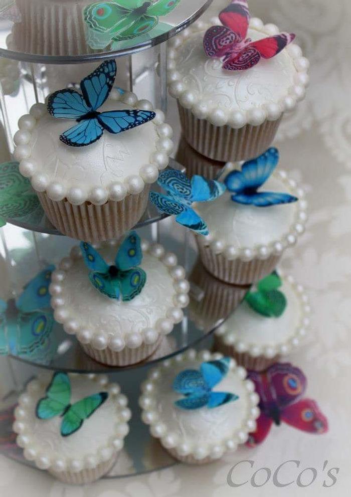 butterfly and pearl cupcakes 
