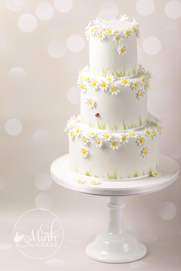 Daisies and ladybird cake