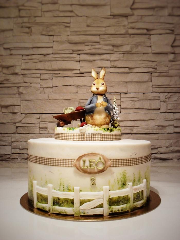 Peter rabbit birthday cake
