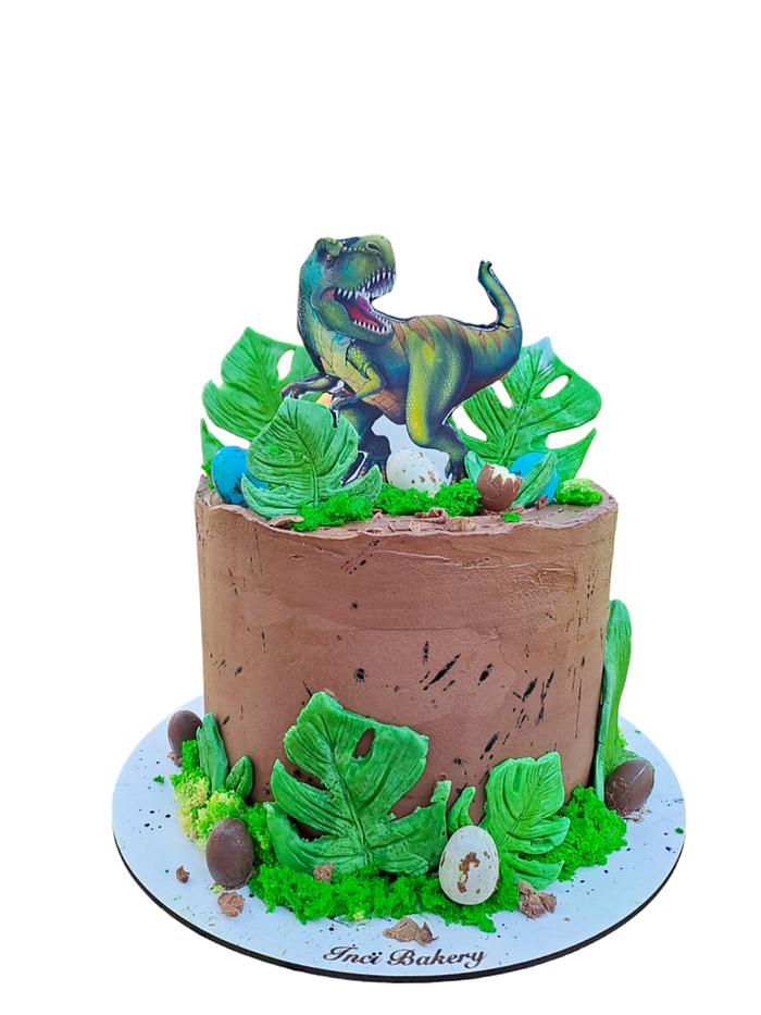 Dinosaur cake for birthdaa