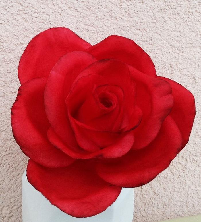 Gumpaste red rose