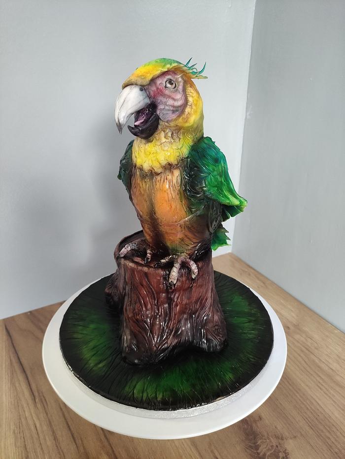Parrot cake 