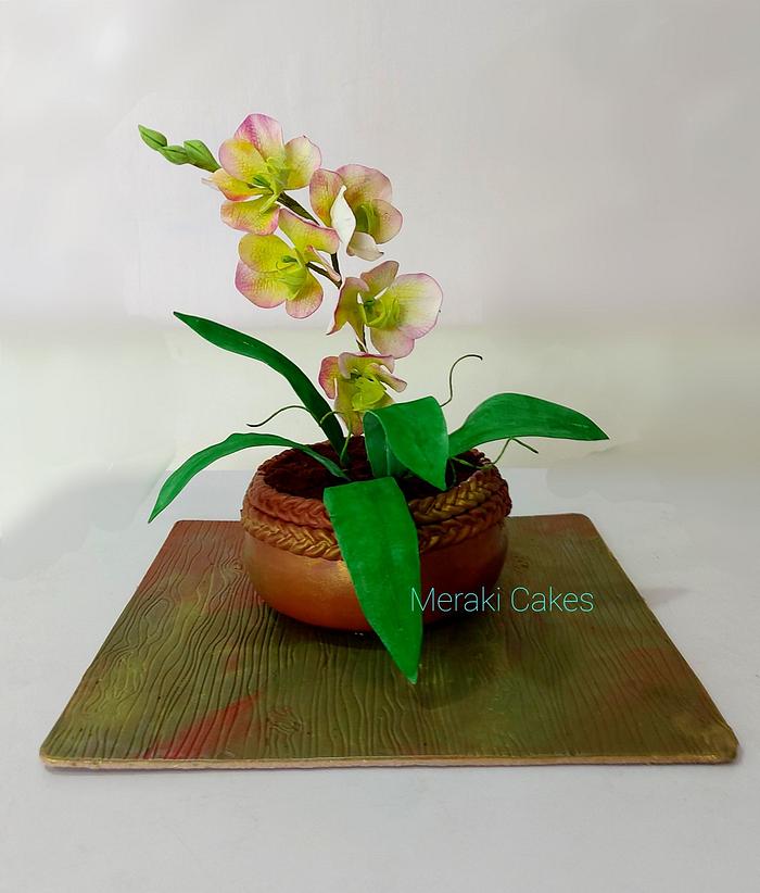 Realistic orchid pot cake