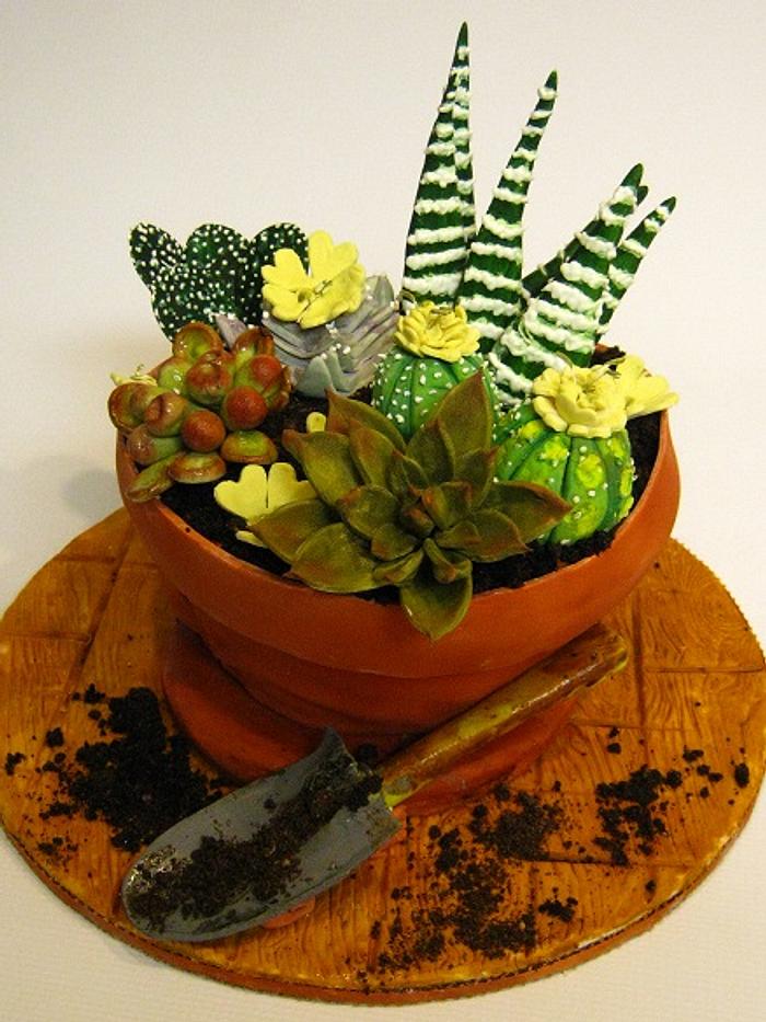 Succulent potted plant cake