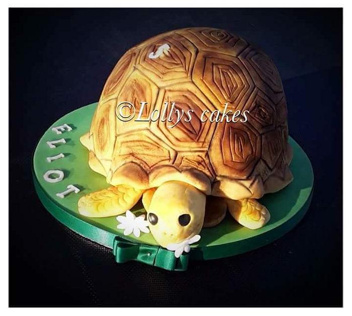 3d turtle cake