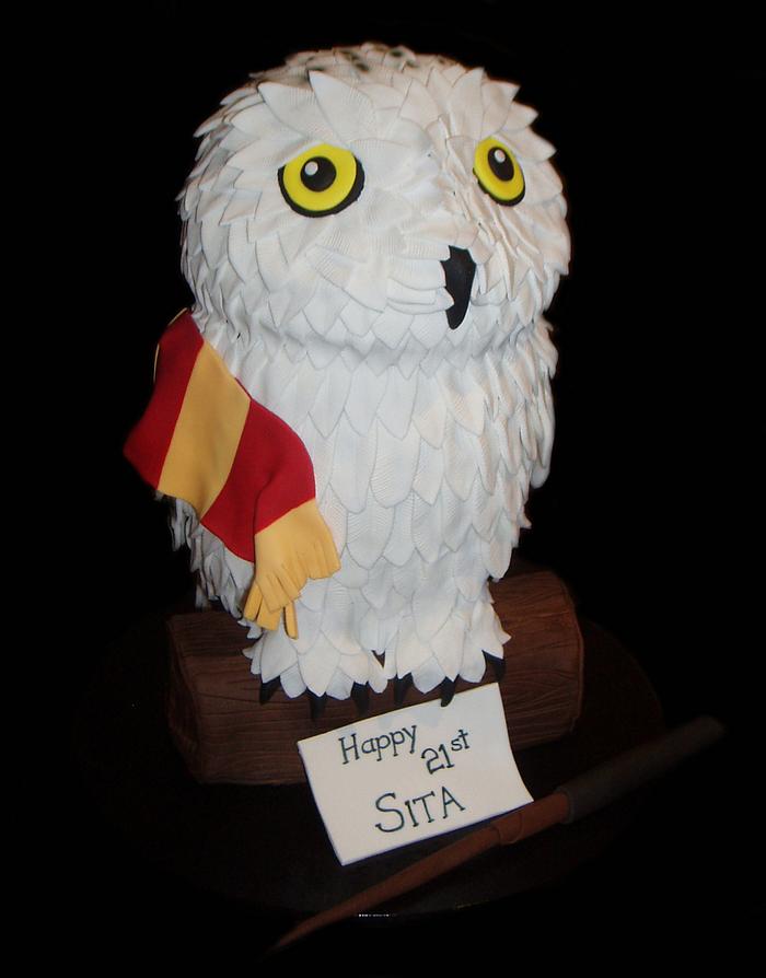 Hedwig Harry Potter Cake