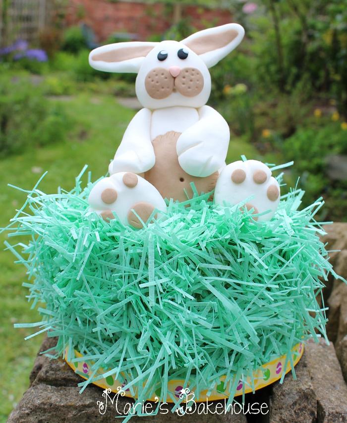 Easter Bunny with wafer paper grass
