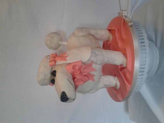 Pippa the Poodle Cake