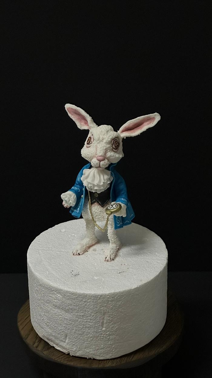 White rabbit 🐇 from Alice in Wonderland 