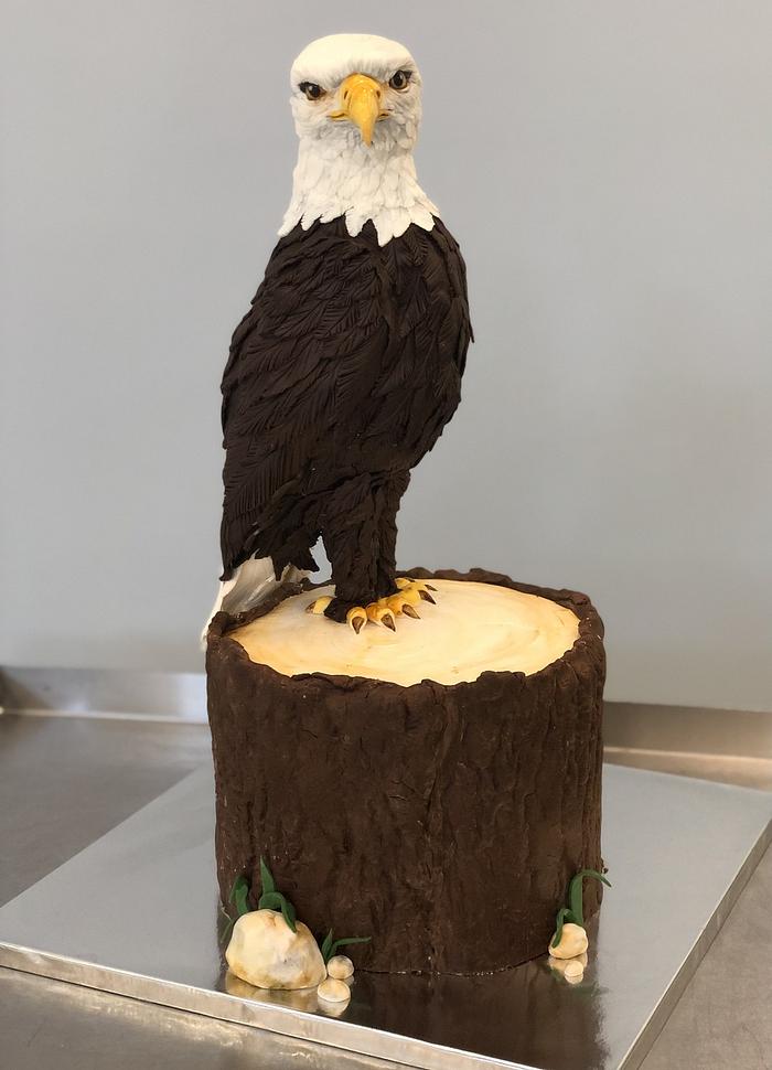 Realistic Eagle Cake