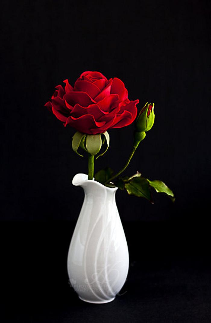 Red gumpaste rose