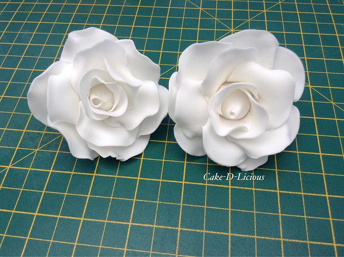 Beautiful white Rose