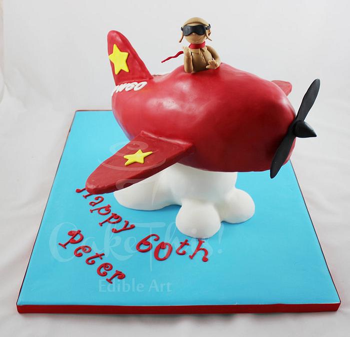 3D Plane Cake