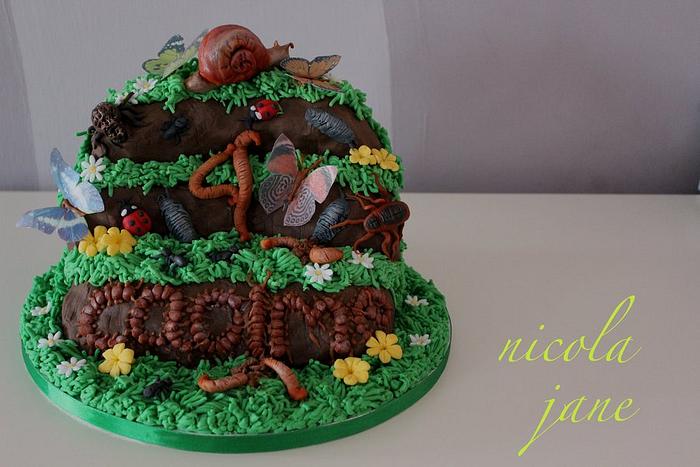 Insect cake