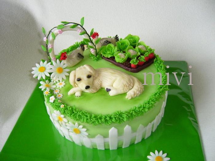 Cake garden with a dog