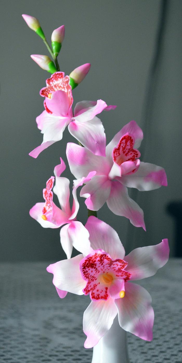 Sugar Orchids