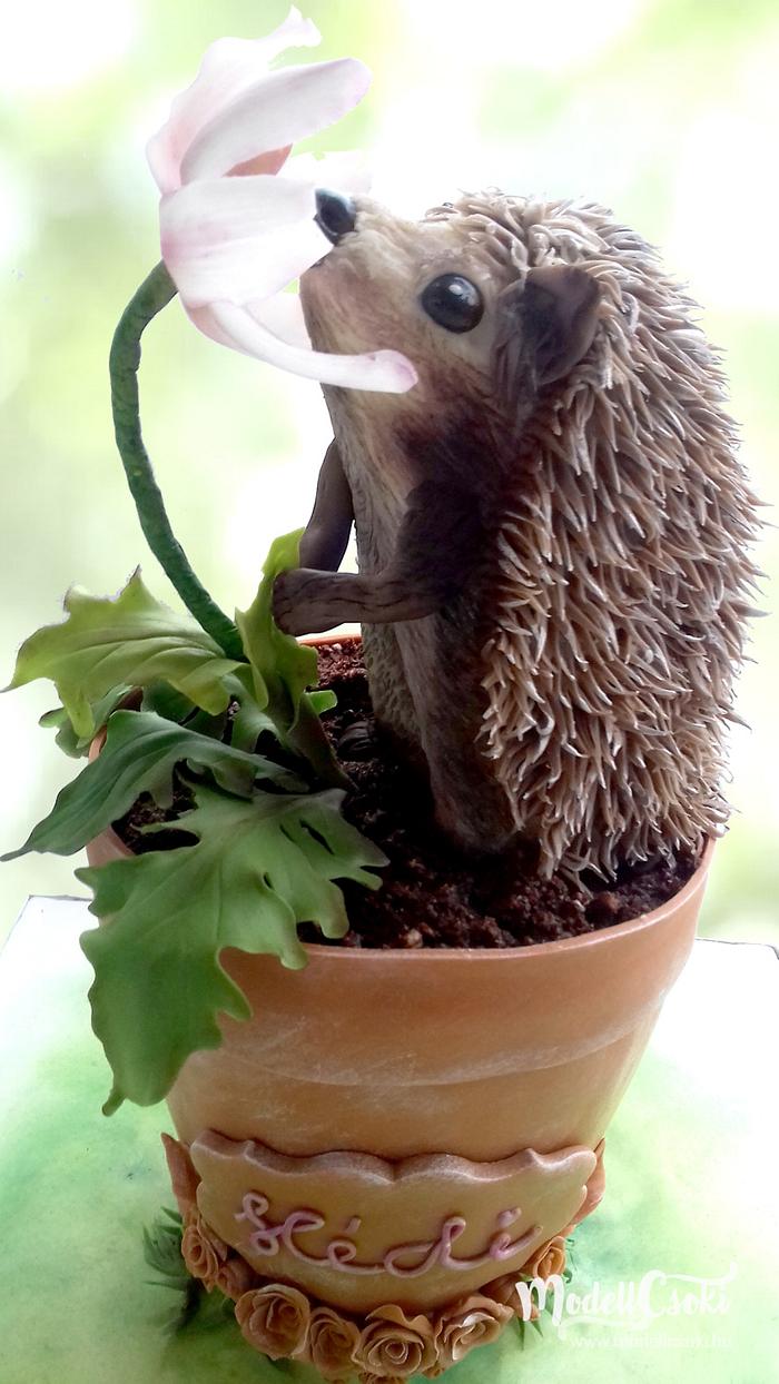 Hedgehog in the pot