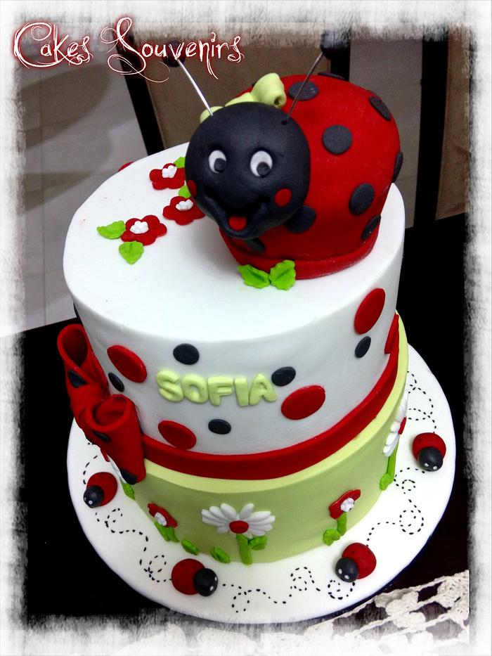 Flowers and ladybug cakes