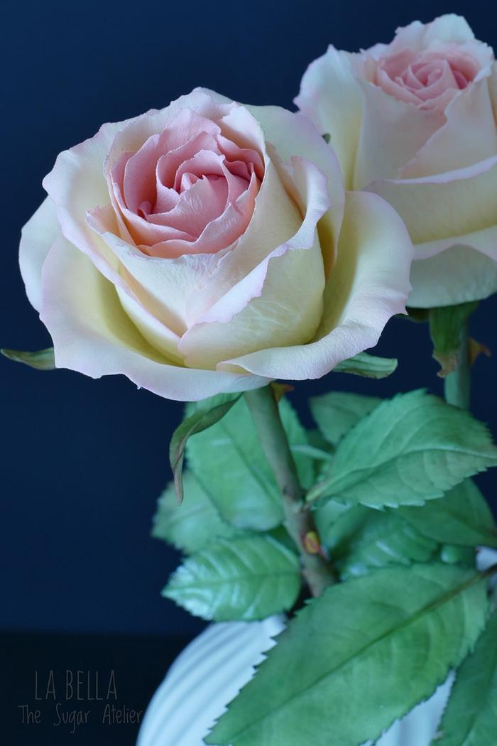 Sweet elegance sugar roses