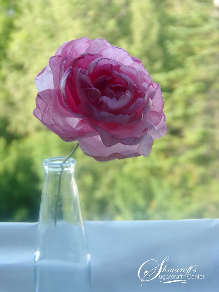 Wafer Paper Easy Peony