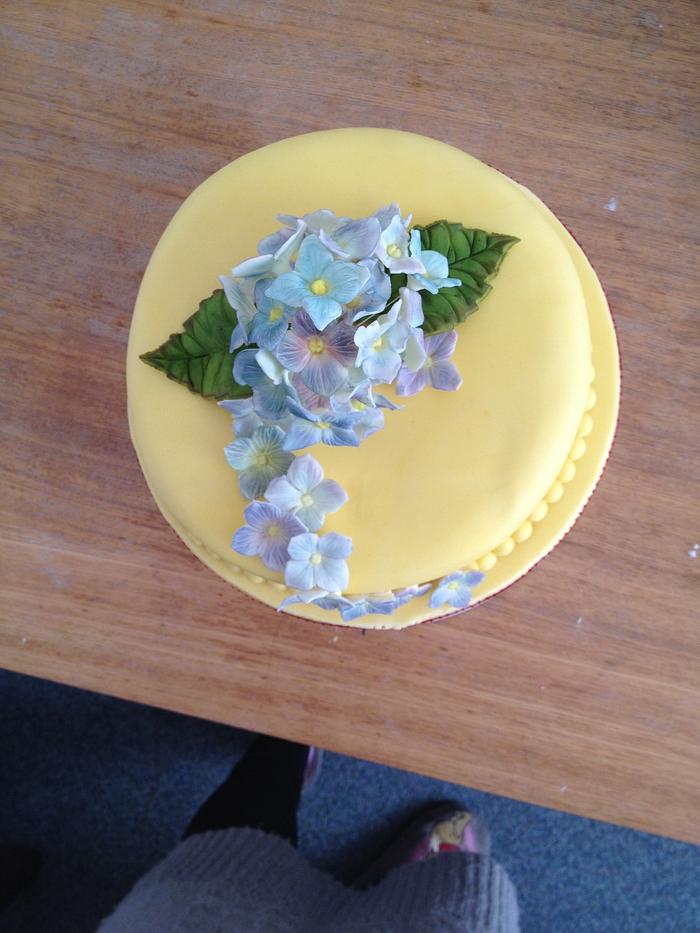 Hydrangea cake