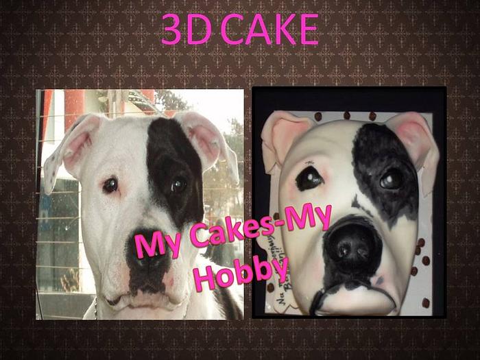 3D Dog cake