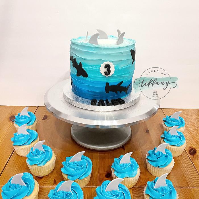 Shark cake & cupcakes 