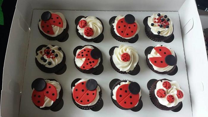 Ladybug Cupcakes