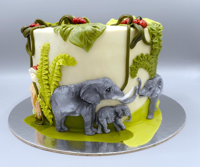 Sweet jungle cake 