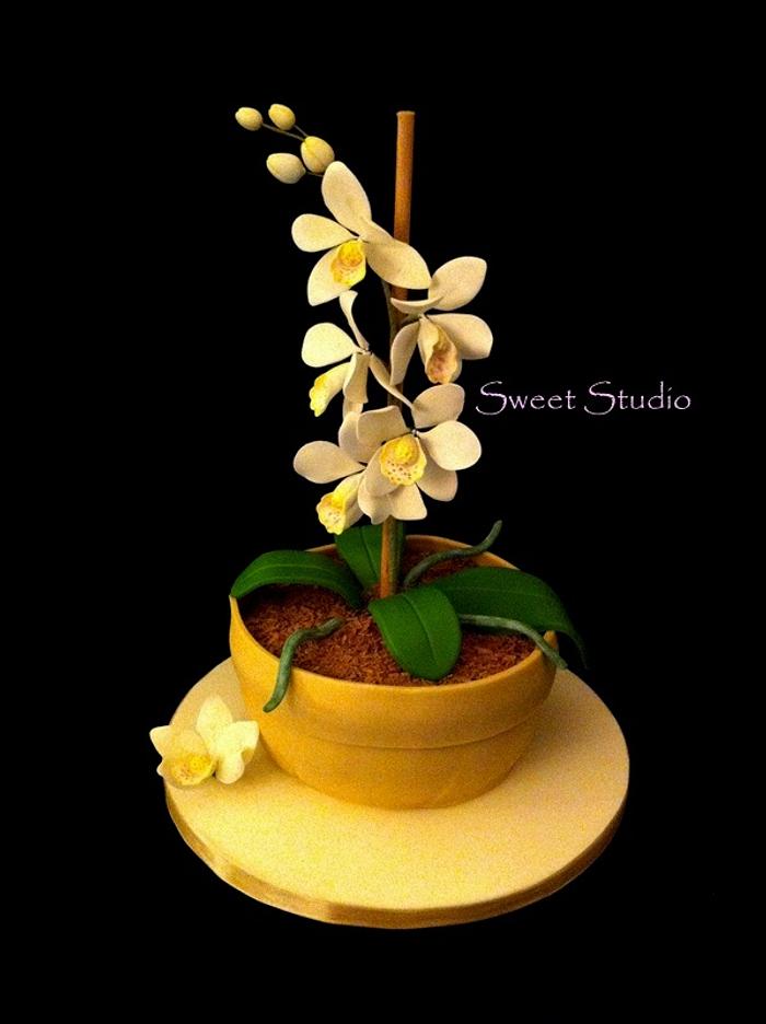 Orchid cake 