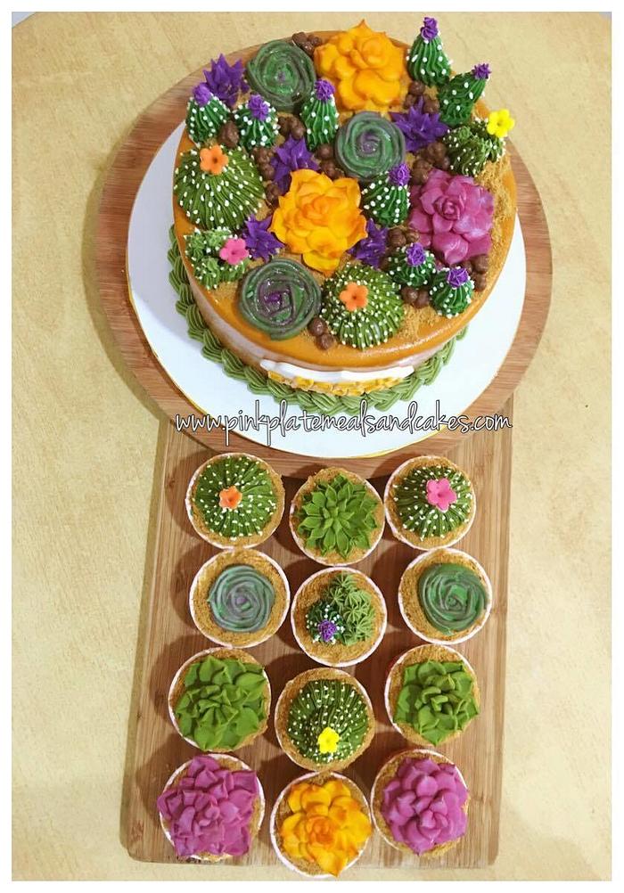 Succulent cake and cupcake set
