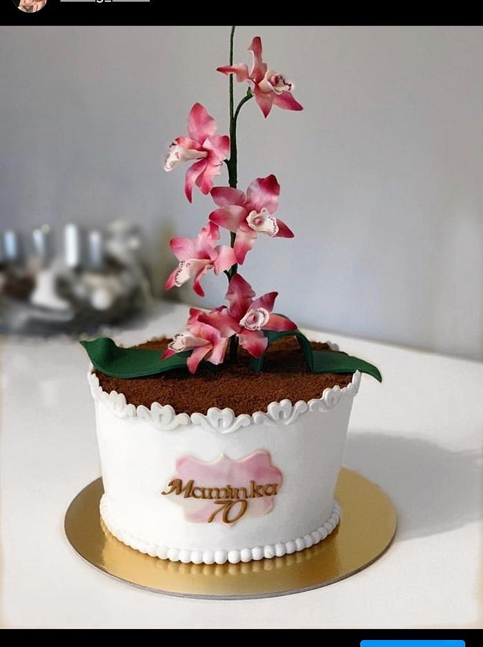 Cymbidium orchid cake