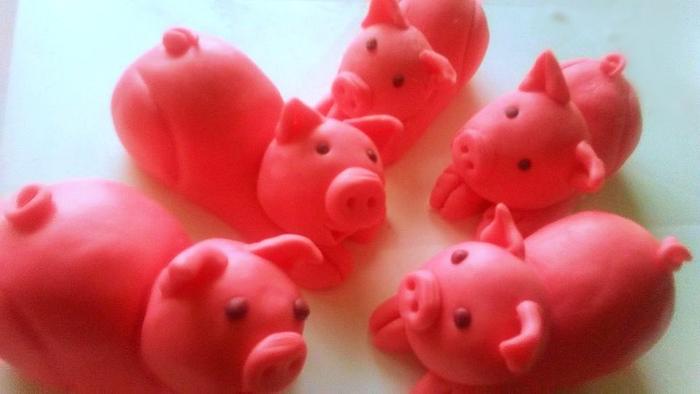 little piglets