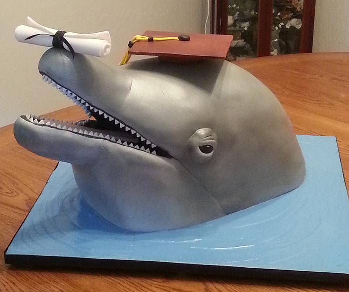 Dolphin Graduation Cake
