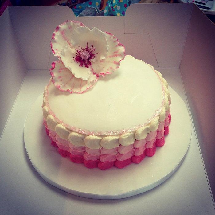 Pink Ombre Cake (featuring my first ever gumpaste flower)
