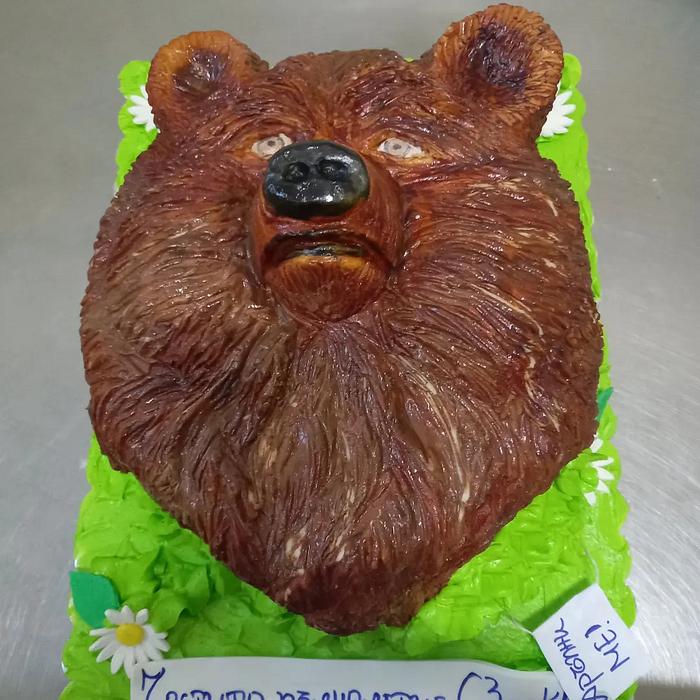 Bear cake